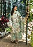 Zeba