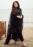 Midnight Elegance