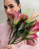 Rose Pink